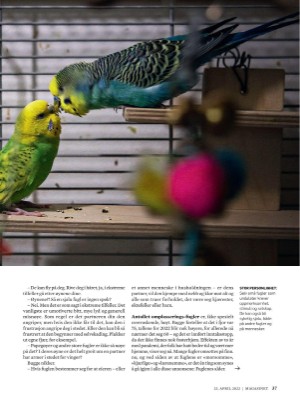 dagbladet_magasinet-20220423_000_00_00_037.pdf