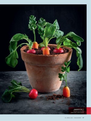 dagbladet_magasinet-20220430_000_00_00_047.pdf