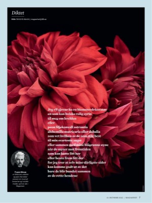 dagbladet_magasinet-20221015_000_00_00_007.pdf