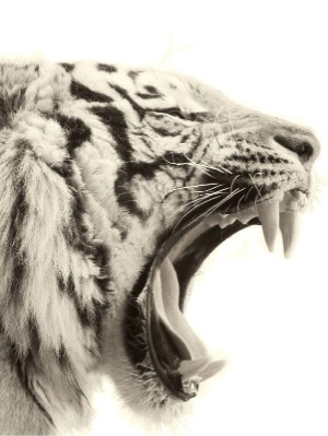 dagbladet_magasinet-20221210_000_00_00_028.pdf