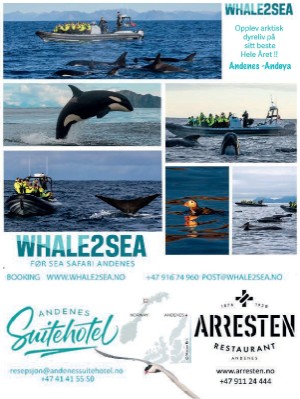 dagbladet_magasinet-20221231_000_00_00_004.pdf