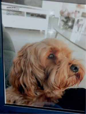 dagbladet_magasinet-20230107_000_00_00_008.pdf