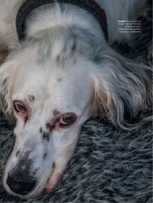 dagbladet_magasinet-20230204_000_00_00_009.pdf