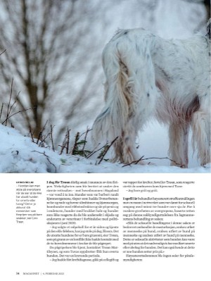 dagbladet_magasinet-20230204_000_00_00_014.pdf