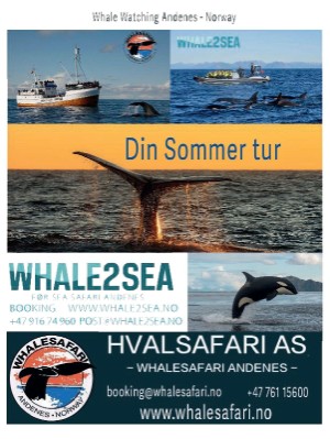 dagbladet_magasinet-20230325_000_00_00_035.pdf