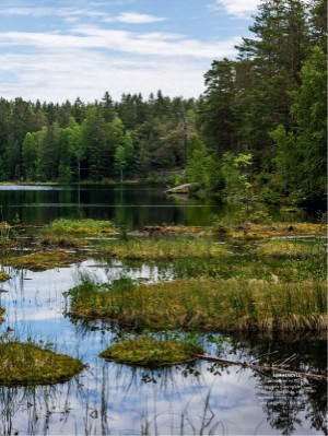 dagbladet_magasinet-20230701_000_00_00_033.pdf