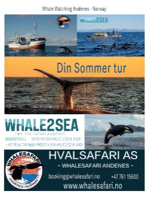 dagbladet_magasinet-20230708_000_00_00_060.pdf