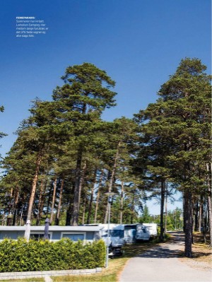 dagbladet_magasinet-20230715_000_00_00_034.pdf