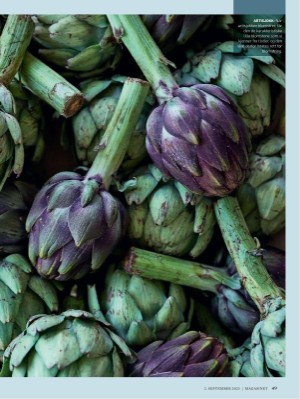 dagbladet_magasinet-20230902_000_00_00_049.pdf