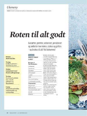 dagbladet_magasinet-20231021_000_00_00_046.pdf