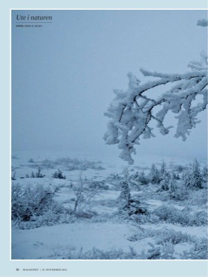 dagbladet_magasinet-20231118_000_00_00_016.pdf
