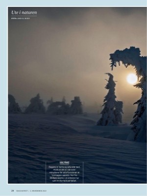 dagbladet_magasinet-20231202_000_00_00_028.pdf