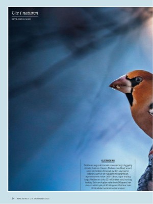 dagbladet_magasinet-20231216_000_00_00_024.pdf