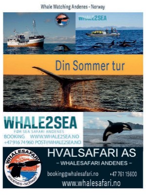 dagbladet_magasinet-20231230_000_00_00_049.pdf