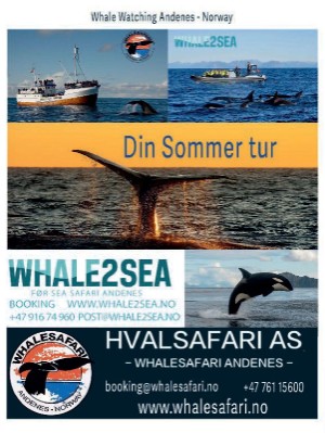 dagbladet_magasinet-20240203_000_00_00_059.pdf