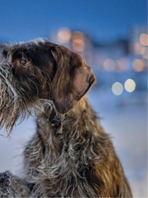 dagbladet_magasinet-20240210_000_00_00_009.pdf