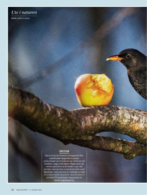 dagbladet_magasinet-20240309_000_00_00_026.pdf
