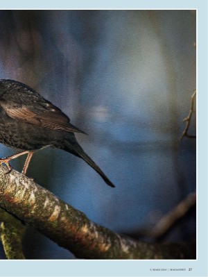 dagbladet_magasinet-20240309_000_00_00_027.pdf