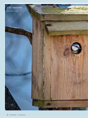 dagbladet_magasinet-20240316_000_00_00_026.pdf