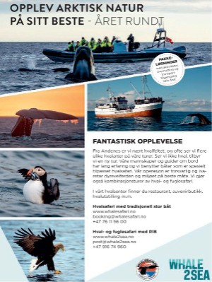 dagbladet_magasinet-20240330_000_00_00_060.pdf