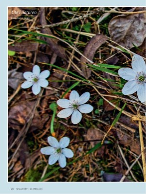 dagbladet_magasinet-20240413_000_00_00_026.pdf