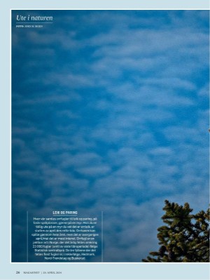 dagbladet_magasinet-20240420_000_00_00_026.pdf