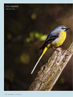 dagbladet_magasinet-20240427_000_00_00_024.pdf