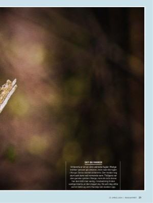 dagbladet_magasinet-20240427_000_00_00_025.pdf