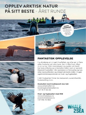 dagbladet_magasinet-20240511_000_00_00_004.pdf