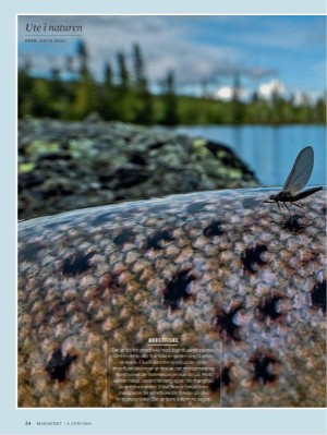 dagbladet_magasinet-20240608_000_00_00_024.pdf