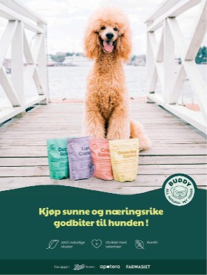 dagbladet_magasinet-20240622_000_00_00_060.pdf