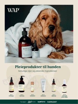 dagbladet_magasinet-20240713_000_00_00_060.pdf