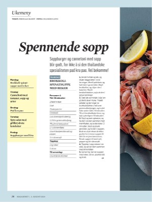 dagbladet_magasinet-20240803_000_00_00_038.pdf
