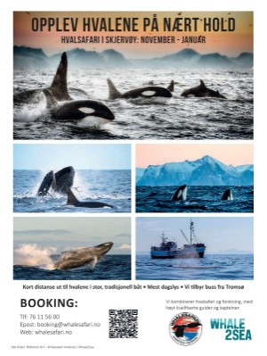 dagbladet_magasinet-20240921_000_00_00_060.pdf