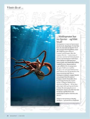dagbladet_magasinet-20250503_000_00_00_026.pdf