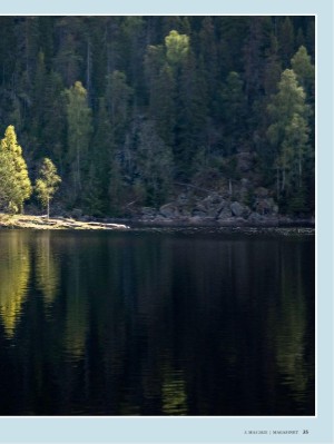 dagbladet_magasinet-20250503_000_00_00_035.pdf