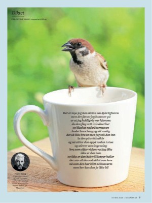 dagbladet_magasinet-20250510_000_00_00_005.pdf