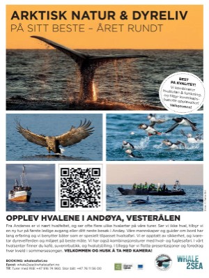 dagbladet_magasinet-20250510_000_00_00_041.pdf