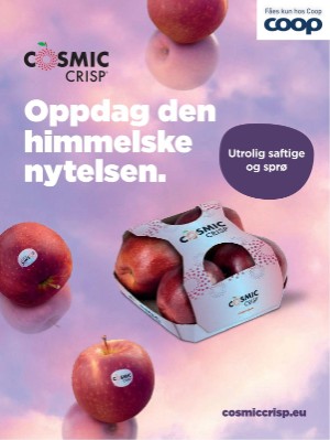 dagbladet_magasinet-20250531_000_00_00_041.pdf