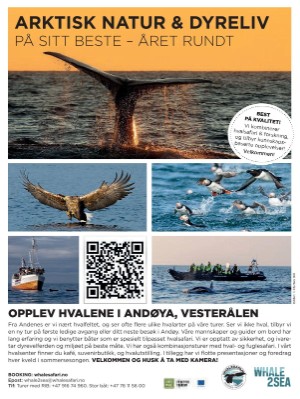 dagbladet_magasinet-20250614_000_00_00_035.pdf