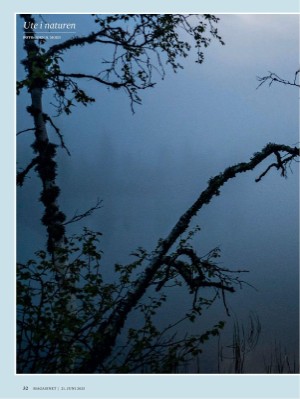 dagbladet_magasinet-20250621_000_00_00_032.pdf