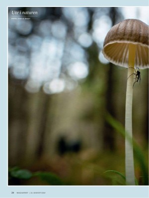 dagbladet_magasinet-20250823_000_00_00_026.pdf