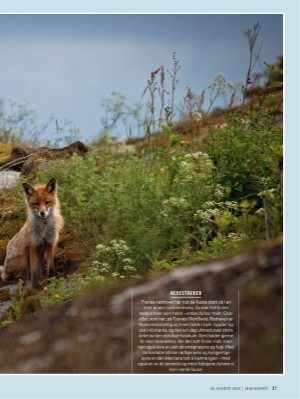 dagbladet_magasinet-20250830_000_00_00_027.pdf