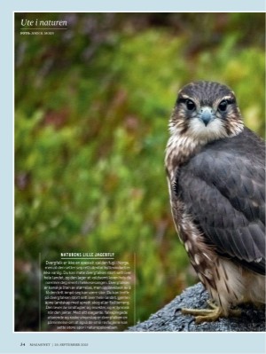 dagbladet_magasinet-20250920_000_00_00_034.pdf