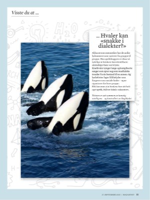 dagbladet_magasinet-20250927_000_00_00_015.pdf