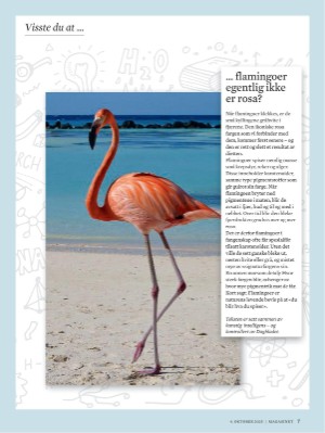 dagbladet_magasinet-20251004_000_00_00_007.pdf