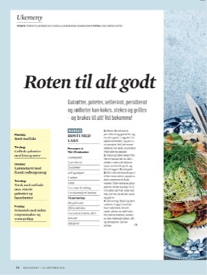 dagbladet_magasinet-20251018_000_00_00_036.pdf