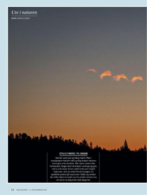 dagbladet_magasinet-20251108_000_00_00_024.pdf