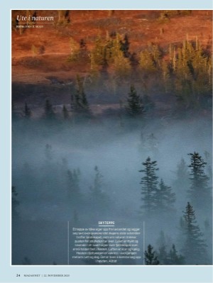 dagbladet_magasinet-20251122_000_00_00_024.pdf