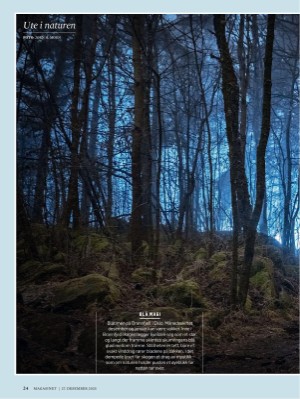 dagbladet_magasinet-20251227_000_00_00_024.pdf